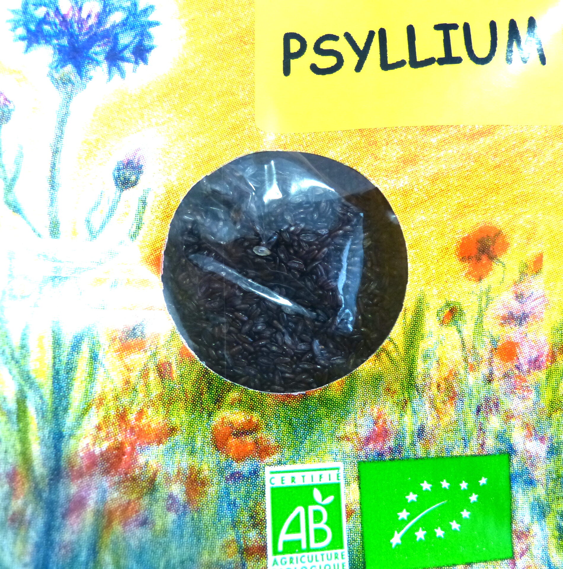 Psyllium zoom